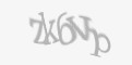 Защитный код