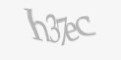 Защитный код