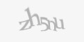 Защитный код